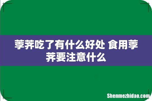 荸荠吃了有什么好处 食用荸荠要注意什么