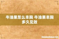 牛油果怎么丰胸 牛油果丰胸多久见效