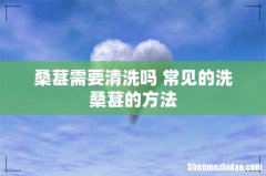 桑葚需要清洗吗 常见的洗桑葚的方法