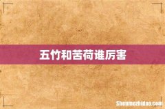 五竹和苦荷谁厉害