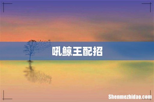 吼鲸王配招