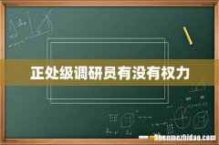 正处级调研员有没有权力