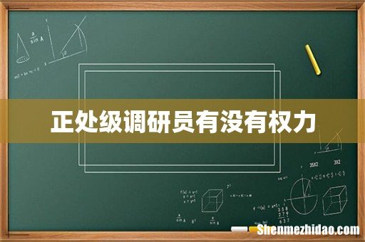 正处级调研员有没有权力