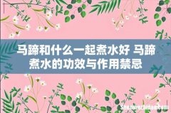 马蹄和什么一起煮水好 马蹄煮水的功效与作用禁忌