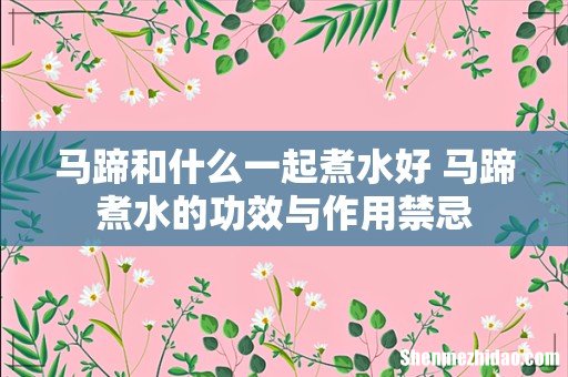 马蹄和什么一起煮水好 马蹄煮水的功效与作用禁忌