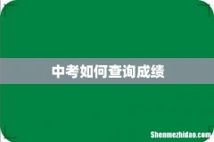 中考如何查询成绩