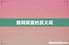 脆弱窝囊的反义词