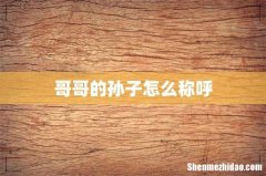 哥哥的孙子怎么称呼