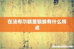 在法布尔眼里狼蛛有什么特点