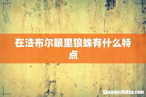 在法布尔眼里狼蛛有什么特点