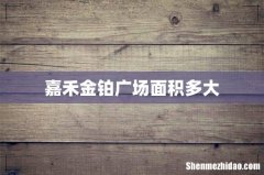 嘉禾金铂广场面积多大