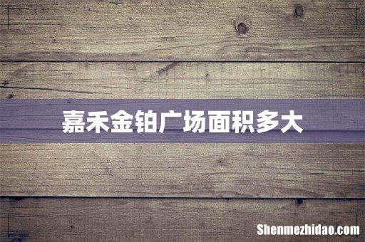 嘉禾金铂广场面积多大