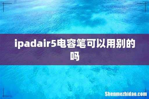 ipadair5电容笔可以用别的吗