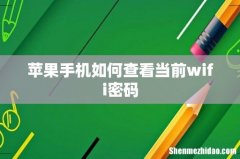 苹果手机如何查看当前wifi密码