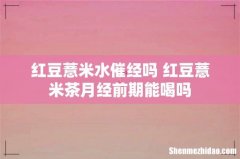红豆薏米水催经吗 红豆薏米茶月经前期能喝吗