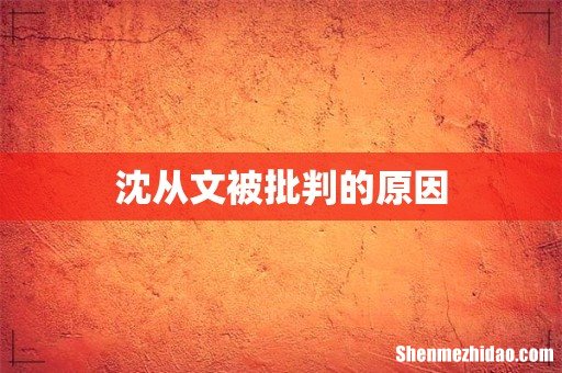 沈从文被批判的原因