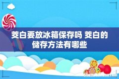 茭白要放冰箱保存吗 茭白的储存方法有哪些