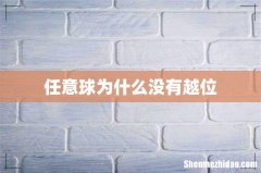 任意球为什么没有越位
