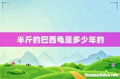 半斤的巴西龟是多少年的