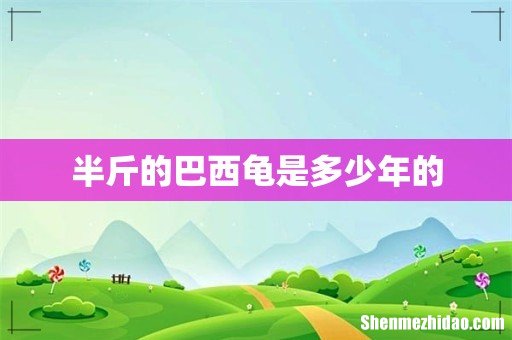 半斤的巴西龟是多少年的