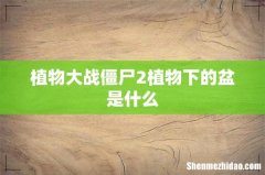 植物大战僵尸2植物下的盆是什么