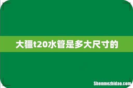 大疆t20水管是多大尺寸的
