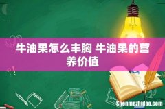 牛油果怎么丰胸 牛油果的营养价值