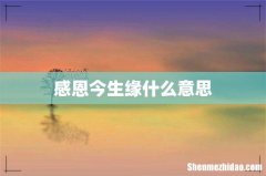 感恩今生缘什么意思