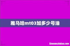 雅马哈mt03加多少号油