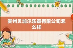 贵州贝加尔乐器有限公司怎么样