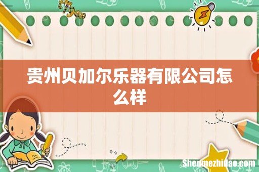 贵州贝加尔乐器有限公司怎么样