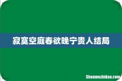 寂寞空庭春欲晚宁贵人结局