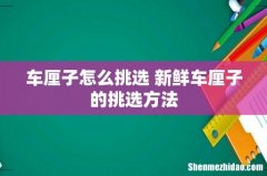 车厘子怎么挑选 新鲜车厘子的挑选方法