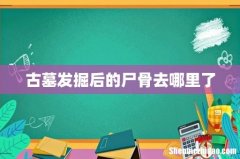 古墓发掘后的尸骨去哪里了