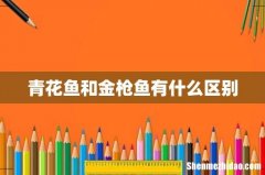 青花鱼和金枪鱼有什么区别