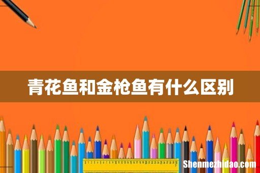青花鱼和金枪鱼有什么区别
