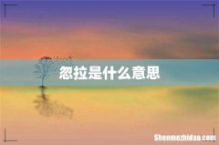 忽拉是什么意思