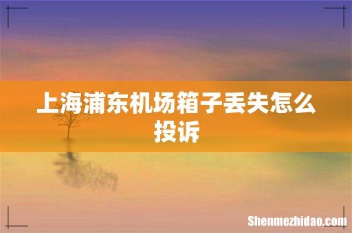 上海浦东机场箱子丢失怎么投诉