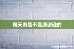 凤天南是不是演谢逊的