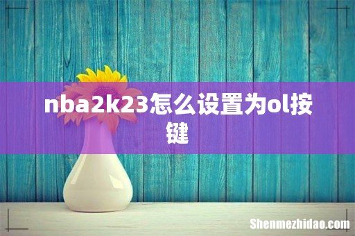 nba2k23怎么设置为ol按键