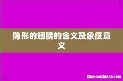 隐形的翅膀的含义及象征意义