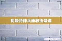 我是特种兵唐教练是谁