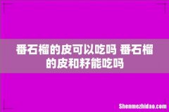 番石榴的皮可以吃吗 番石榴的皮和籽能吃吗