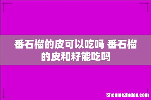 番石榴的皮可以吃吗 番石榴的皮和籽能吃吗