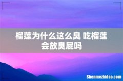 榴莲为什么这么臭 吃榴莲会放臭屁吗