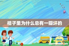 桔子里为什么总有一瓣坏的