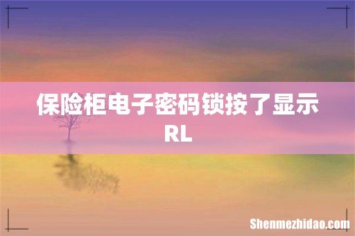 保险柜电子密码锁按了显示RL
