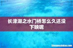 长津湖之水门桥怎么久还没下映呢