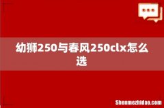 幼狮250与春风250clx怎么选