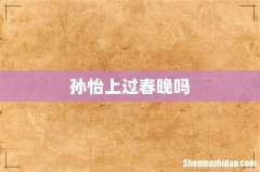 孙怡上过春晚吗